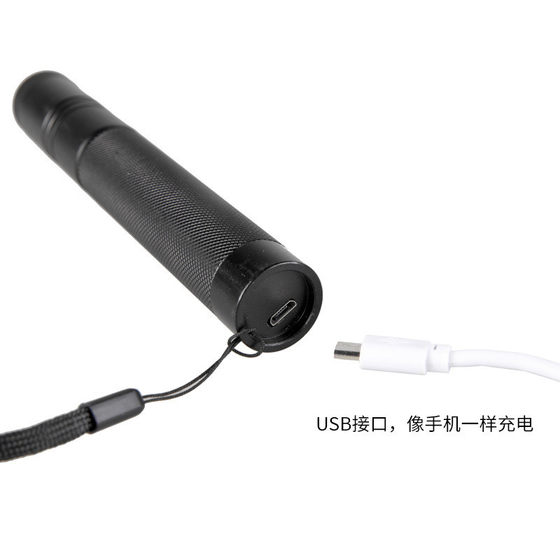 Changshou Gate Ball Command Pen 충전 Green Light High Power Competition 코치 Laser Ball Command Flashlight
