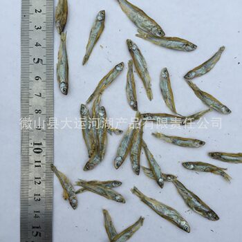 Dried freshwater fish 2-3cm small white striped bird feed fish food turtle food fish dry food hamster aquarium feed brazilian turtle food