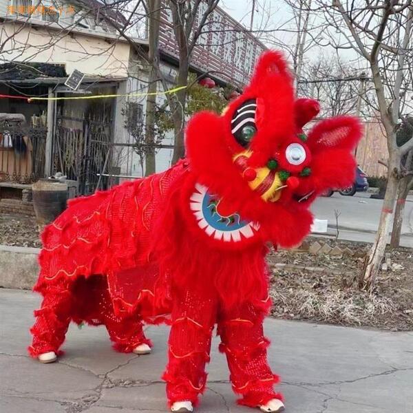 Southern Lion Dance Props, Lion Dance Wool, Bamboo Weaving, Australian Adult Lion Dance Set, Complete Adult Lion Dance Set, Direct from Manufacturer