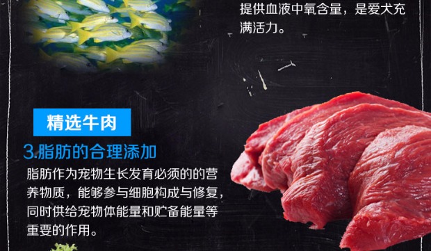 Mèo sói thức ăn tự nhiên muối biển thấp tự nhiên hương vị 10kg20 pounds Anh mèo xanh ngắn Anh mèo Ba Tư thành mèo con 1-12 tháng - Cat Staples làm đồ ăn cho mèo