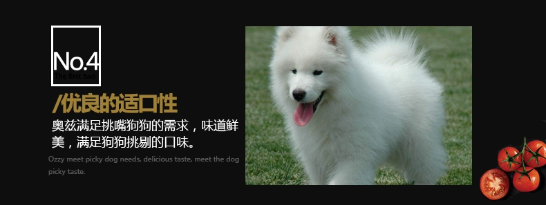 Oz 20kg40 kg Teddy Golden Retriever Bear Husky VIP Husky Samoyed Large Small Dog Puppy Dog Food - Chó Staples