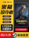 Steam Official Version Raiders of Blackveil Action Game Black Veil Raiders