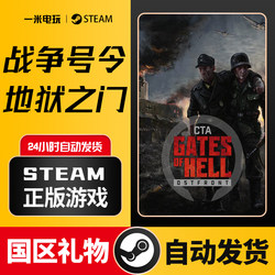 Call to Arms - Gates of Hell Realistic Simulation Steam Official Version