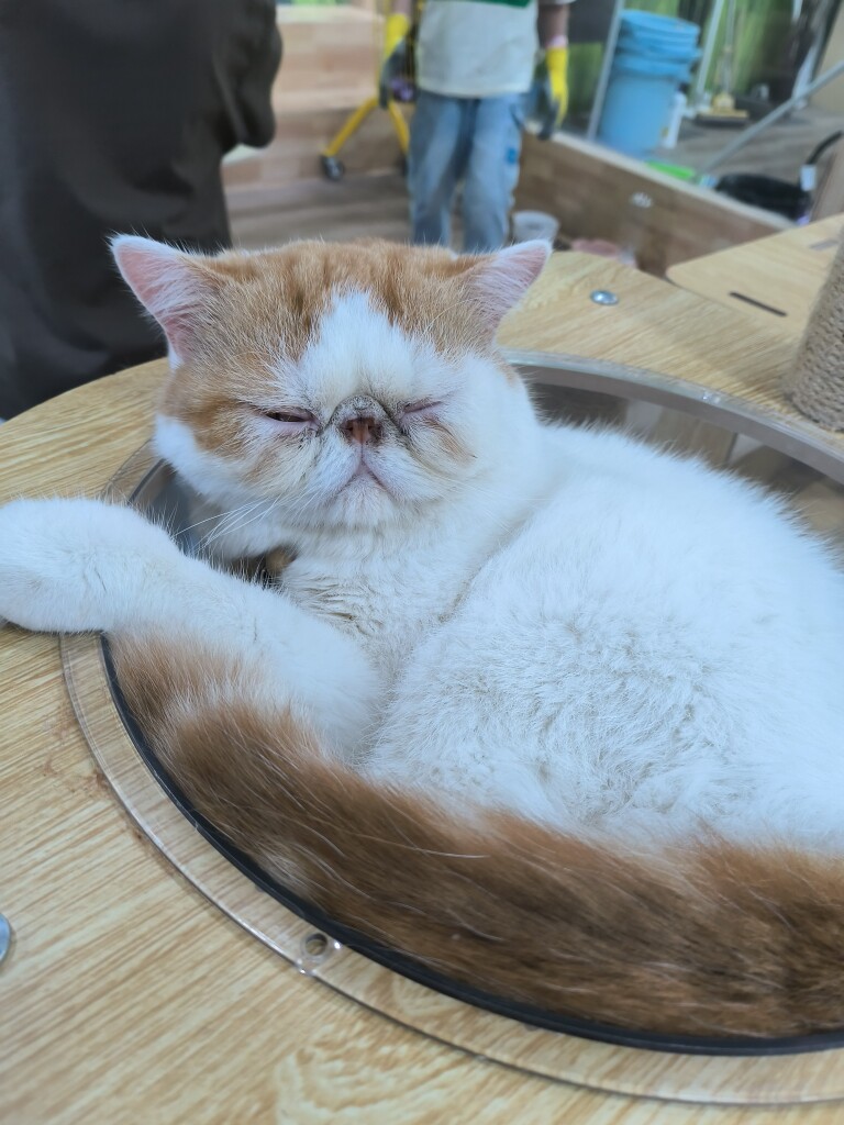 诗琰优品