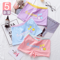 14 Girls Underpants Cotton Girls High Junior High School Students Phem Pants 100% Cotton Mid-waist Japanese Cartoon 16-year-old Four Corner