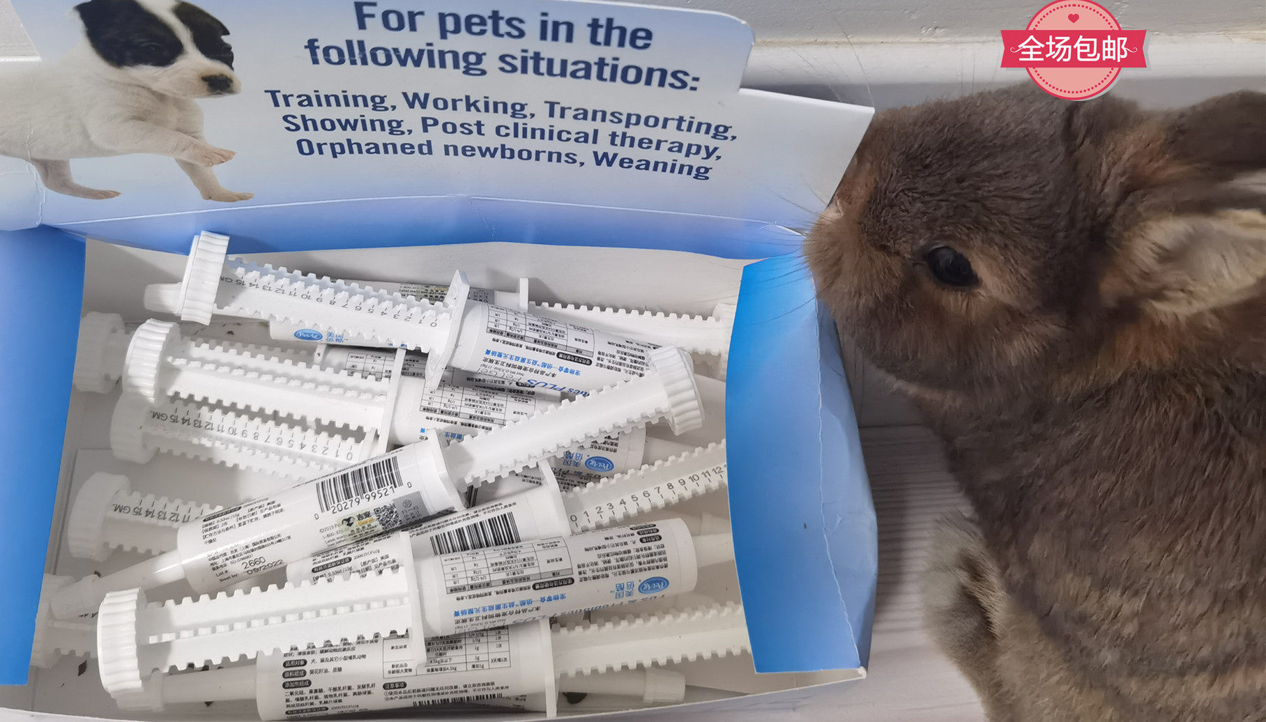 Petag times cool to help you strengthen probiotic ointment rabbit chinchilla Dutch pig gastrointestinal nutrition 15g