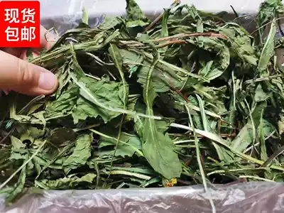2021 New dried dandelion grass rabbit Chinchow pig guinea pig net weight 500g stand-alone box