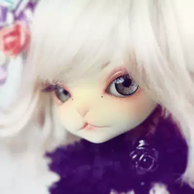 DollZone Kitty 6 points Kitty full set of naked dolls DZ Official genuine commitment BJD doll SD