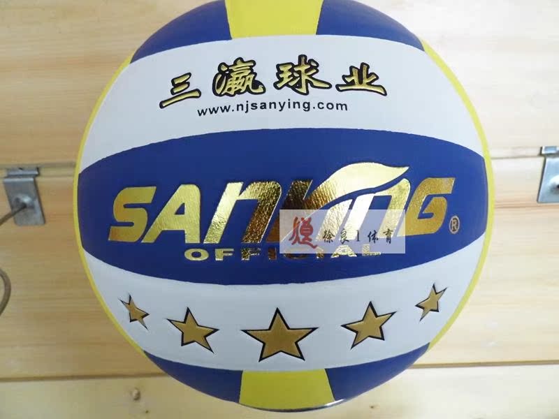 Ballon de volley - Ref 2010055 Image 6