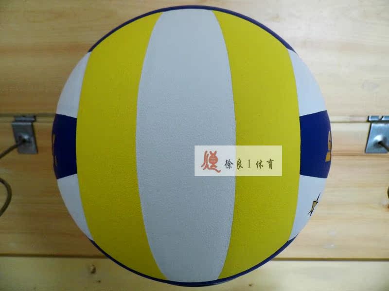 Ballon de volley - Ref 2010055 Image 8