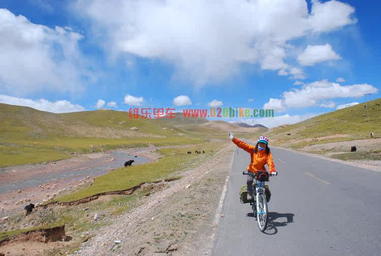 Poignées de vélo ERGON - Ref 2334545 Image 39