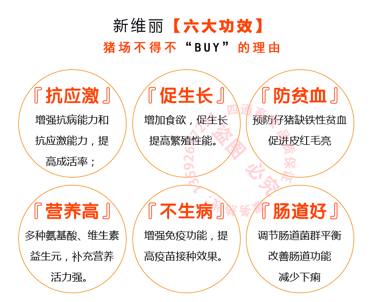【实用】弱小仔猪怎么提高成活率，大部分被人都这么做！