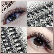 Fake eyelash shops have had repeat customers with over a thousand different lengths of eyelashes. Fake eyelashes are grafted onto internet celebrities, and they have their own single cluster of 30 clusters of dense and ultra soft eyelashes. 0.03 mink hair is planted for false eyelashes