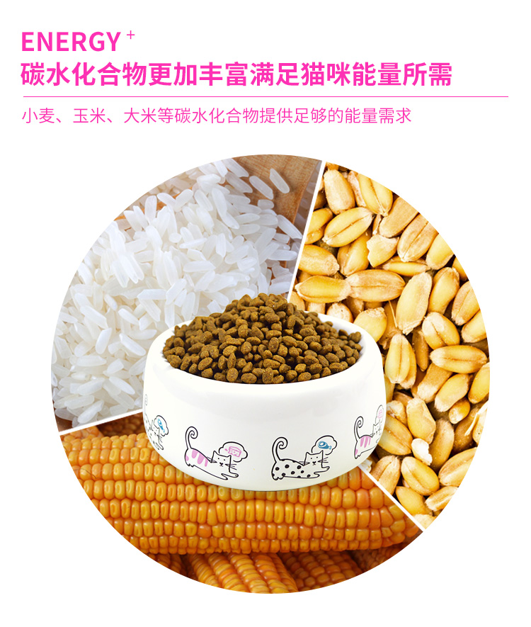 Mang thai cho con bú nữ mèo đặc biệt thức ăn cho mèo chín sữa mèo thức ăn chính sau sinh mang thai kitten mang thai mèo dinh dưỡng thực phẩm felipro