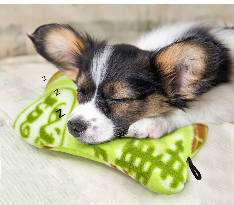 Pet Gối Pet Dog Chuyên Dụng Ngủ Mèo Với Nhỏ Gối Cắn Teddy Cat Puppy VIP Đồ Chơi đồ chơi cho chó cắn