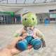 Звездная мечта Мелоди серия черепах кукла