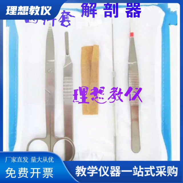 生物解剖器 4件套 标本制作工具 生物实验器材 教学仪器 教具