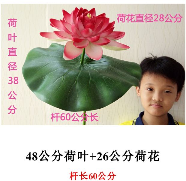 Mô phỏng với thanh sen lá sen giả sen nhựa lụa hoa múa đạo cụ biểu diễn hoa sen ô dù mô phỏng đạo cụ sen - Hoa nhân tạo / Cây / Trái cây lan giả