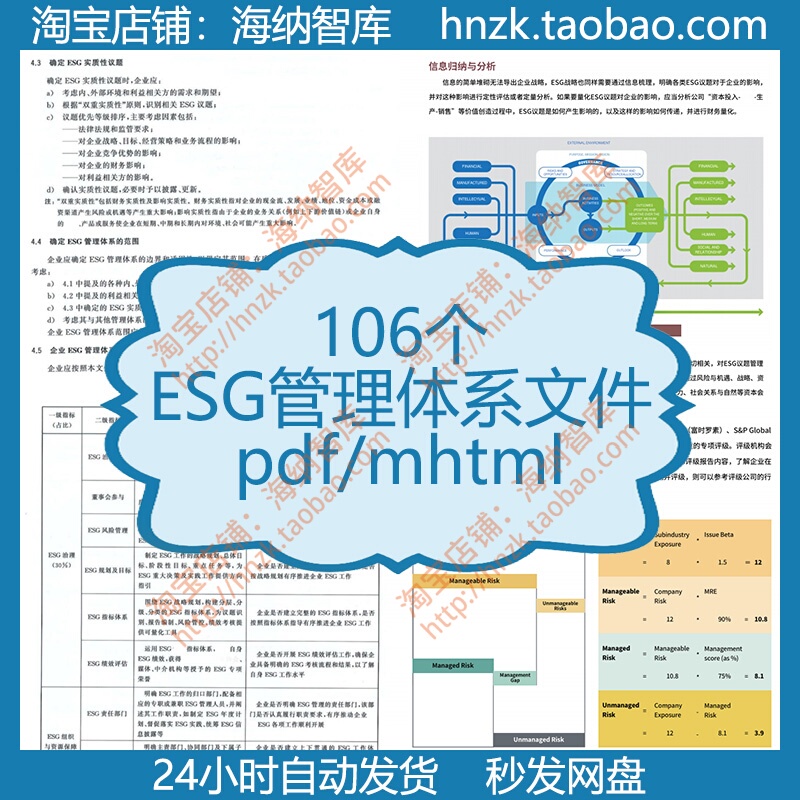 Esg Management System Document Standard Guidelines Implementation Manual Case Guide Clean Energy Governance Framework Establishment