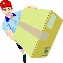 Temporary Order Payment Link 2 CC Standard Collector's Edition Shengjia] Datang LBD]