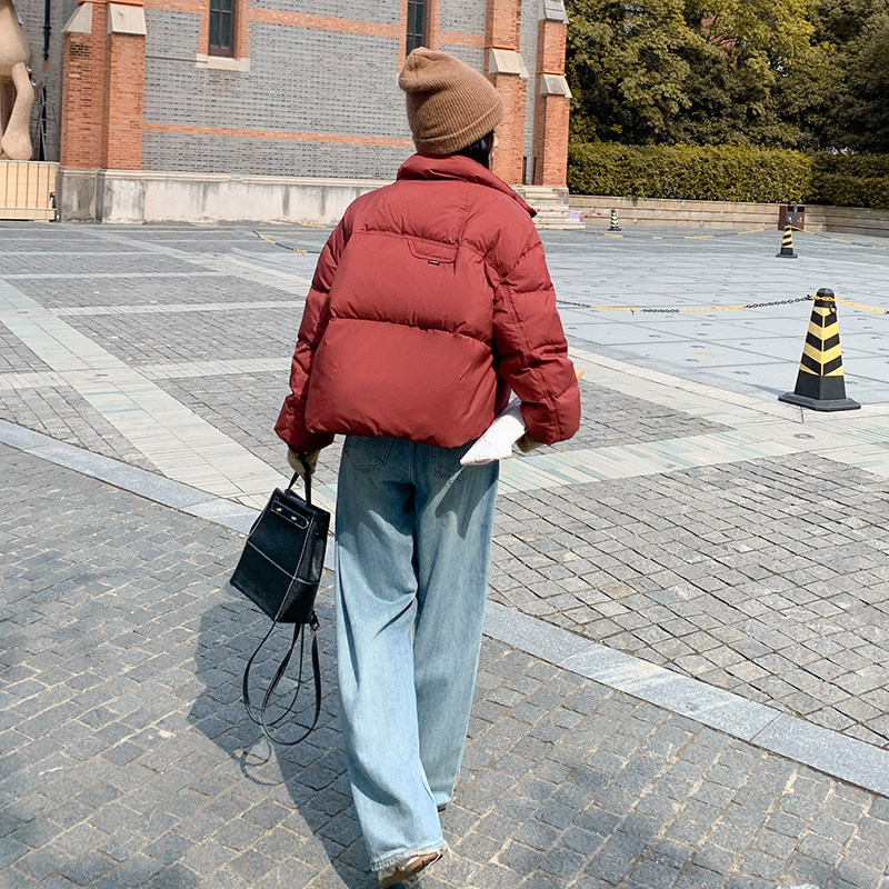 韩版保暖时尚立领白鸭绒外套女2025年冬季新款显瘦短款加厚羽绒服,女装羽绒服,2C087