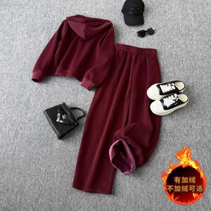 休闲运动时尚套装女秋冬新款高级感气质拉链连帽卫衣直筒裤两件套图片
