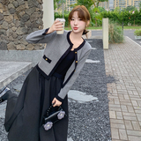 时尚套装女春秋款灰色高级感开衫上衣气质吊带裙两件套，女装套装/套裙，2C166