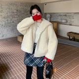大翻领皮毛一体羊羔毛外套女冬季2025新款独特漂亮巨好看加厚棉服，女装皮草，2C159