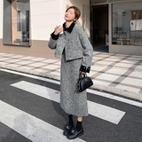 韩版气质小香风羽绒内胆套装女2025冬季新款显瘦加厚半身裙两件套，女装套装/套裙，2C057
