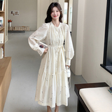 现货新品高级感轻奢水墨印花连衣裙2C259-6607-P165-K248，女装连衣裙，2C259
