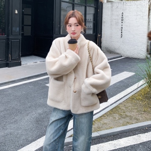 高级感轻奢小香风立领仿水貂毛绒环保皮草女冬季保暖毛毛大衣外套图片