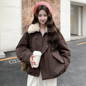 新款   咖色立领棉服 2C122-5115-P185-K268图片
