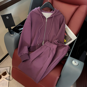 女秋韩版时尚拉链连帽开衫卫衣阔腿裤套装图片