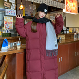 现货2026新款冬季长款羽绒高克重新标90绒2D009-Y19-P390控588，女装羽绒服，2D009
