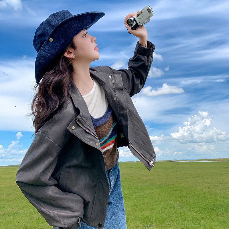 休闲立领灰咖色皮衣外套女秋季2025新款小个子PU夹克机车服巨好看,女装皮衣,2C022