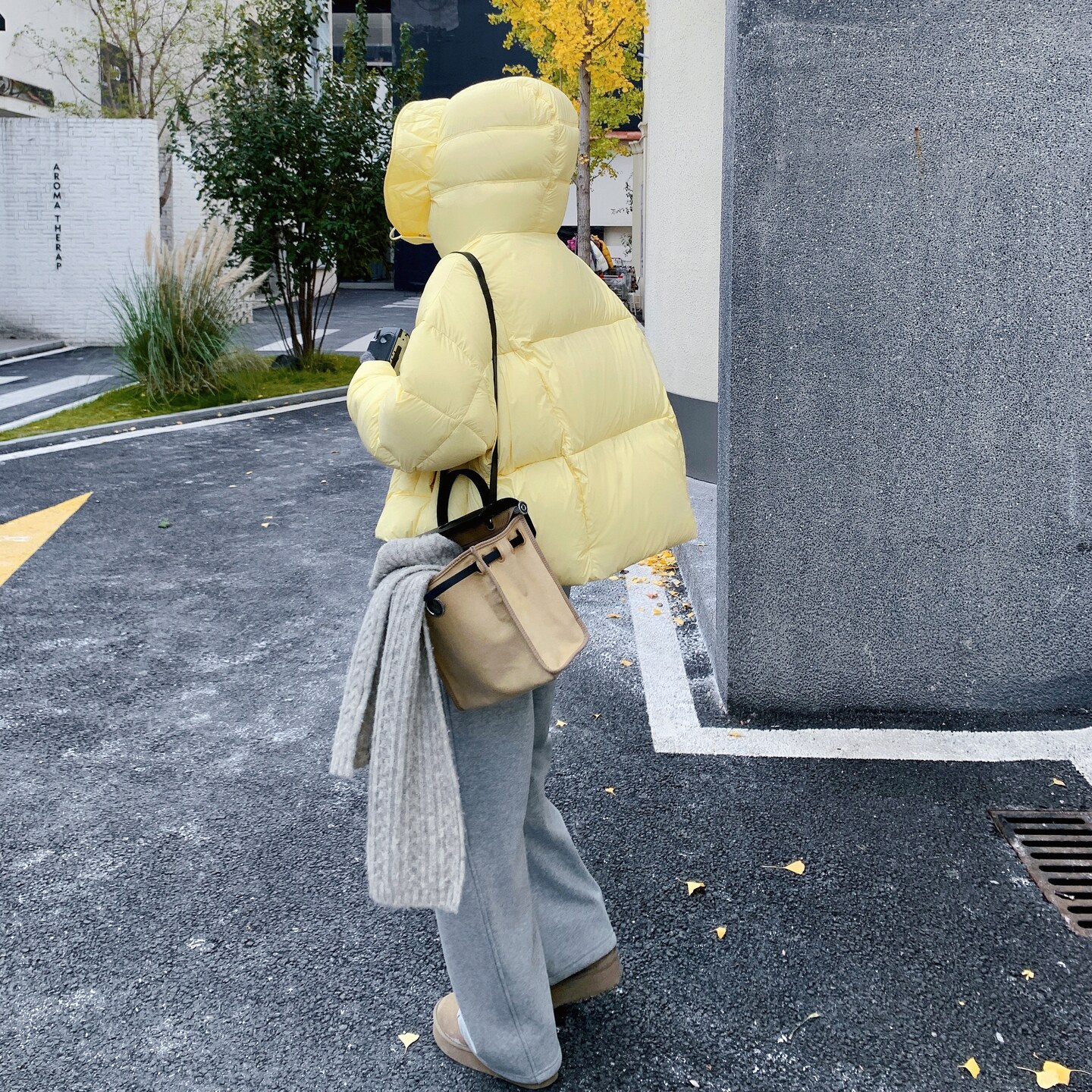 【新款】25冬季花边帽羽绒服D188P355K538,女装羽绒服,2D008