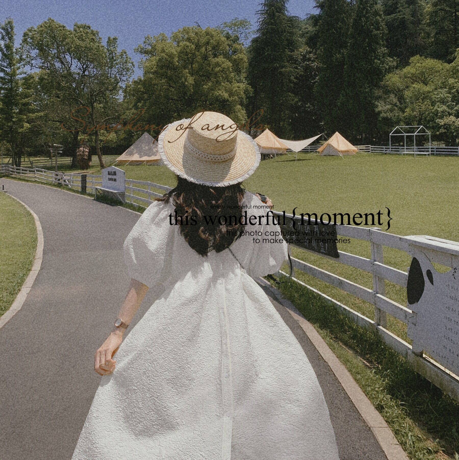 【大货主推款】在逃公主三色玫瑰浮雕蓬蓬裙836-p120-k188,女装连衣裙,2C137