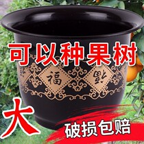 Large flowerpot extra large clearance with tray plastic flowerpot imitation ceramic large thick flowerpot special clearance green rose