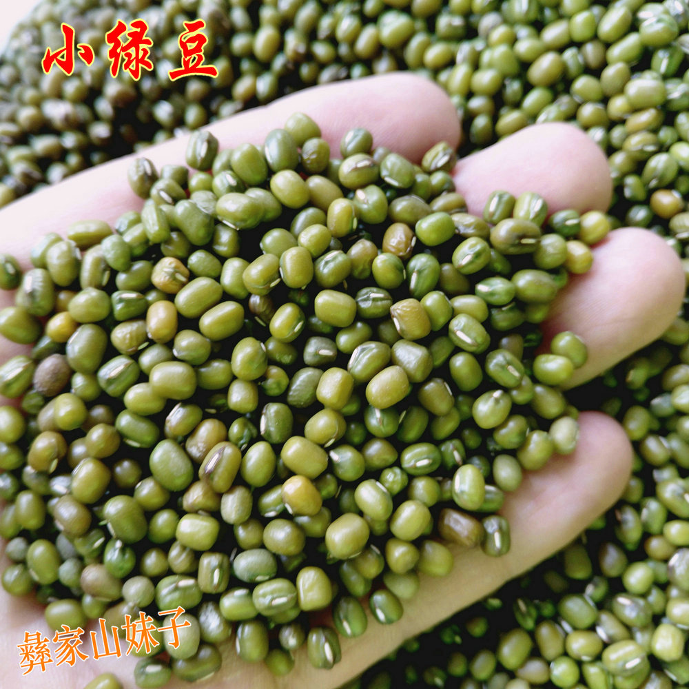 Yunnan small mung bean 5 catties stupid mung bean braised rice big ballast porridge mung bean soup shaved ice eight-treasure porridge mung bean cake fresh bean sprouts