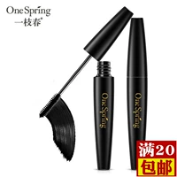 Một loại mascara uốn cong mùa xuân dài không thấm nước không nở rộ Tăng trưởng lông mi dạng lỏng dày masscara