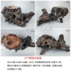 Цвет шампанского A179 Huang Jingmu