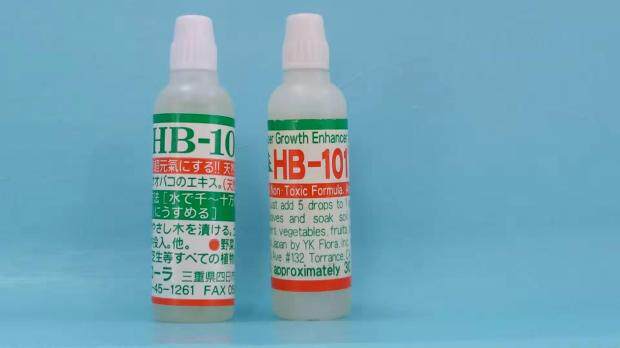 10 60ml RMB40  nutrient solution chrysanthemum flowers with Japanese HB101 hydropony fish co-nourishing nutrient