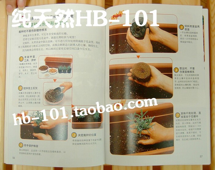 78 types of flowers and plants How to plant good information to give 3 6ml ultra-concentrated plant growth liquid HB-101