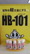 Japan hb-101 plant vitality vegetarian 50ml family vegetable garden multimeat nutrient solution for another HB Magazine