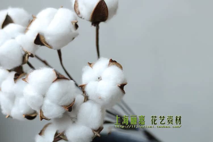 cotton single cotton christmas decoration white cotton for decoration for bouquet