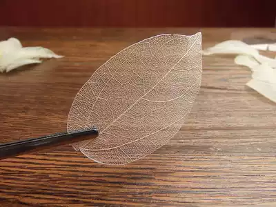 Floral Materials DIY jewelry Floral training with natural magnolia and diamond veins