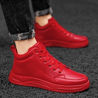 V10 Red (высококлассная модель)