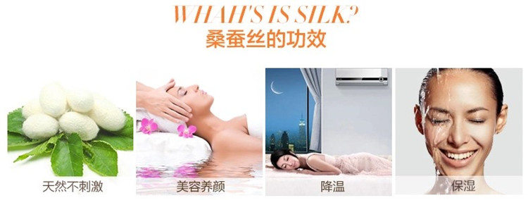 Xử lý giải phóng mặt bằng chính hãng lụa tơ tằm nặng 100 tờ gối đôi 40 50 m có liền mạch - Khăn trải giường thảm lông trải giường ngủ