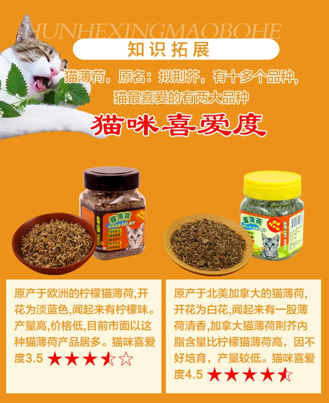 Food Legend Catnip Excitement Catnip Grass Cat Hair Cat Cat Snacks Cat Cung cấp 2 lon - Đồ ăn nhẹ cho mèo