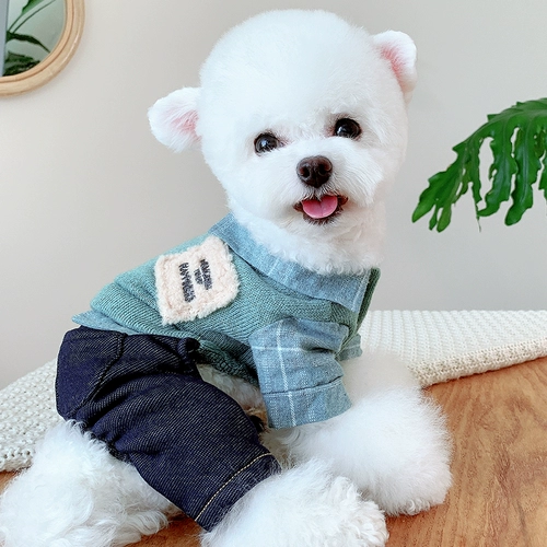 Зимняя одежда для четвероногих собак, одежда для бишонов, одежда для маленьких собак, одежда для кошек, щенков, шнауцеров, Тедди, одежда на осень и зиму
